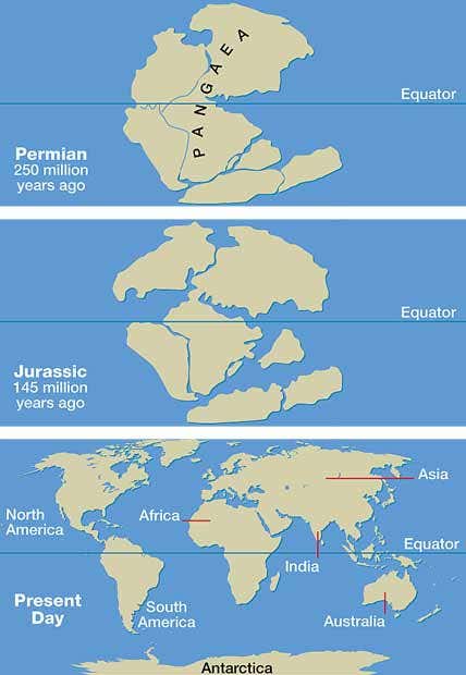 New Scientist. Science news and long reads from expert journalists, covering developments in science, technology, health and the environment on the website and the magazine.