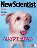New Scientist issue 2228 cover