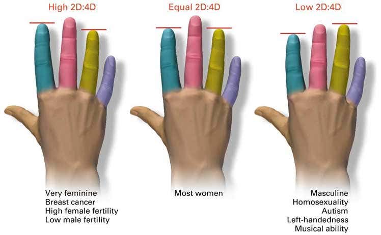 New Scientist. Science news and long reads from expert journalists, covering developments in science, technology, health and the environment on the website and the magazine.