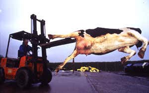 New Scientist. Science news and long reads from expert journalists, covering developments in science, technology, health and the environment on the website and the magazine.