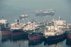 New Scientist. Science news and long reads from expert journalists, covering developments in science, technology, health and the environment on the website and the magazine.