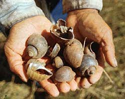 Photo&colon; C Erickson