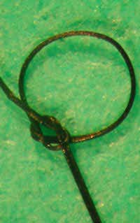 Super-strong threads