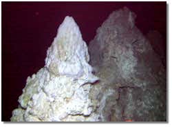 New Scientist. Science news and long reads from expert journalists, covering developments in science, technology, health and the environment on the website and the magazine.