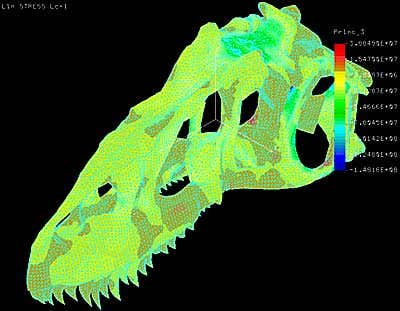 New Scientist. Science news and long reads from expert journalists, covering developments in science, technology, health and the environment on the website and the magazine.
