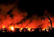 New Scientist. Science news and long reads from expert journalists, covering developments in science, technology, health and the environment on the website and the magazine.