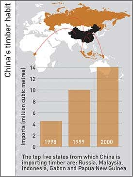 Logging ban backfires