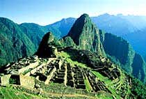 New Scientist. Science news and long reads from expert journalists, covering developments in science, technology, health and the environment on the website and the magazine.