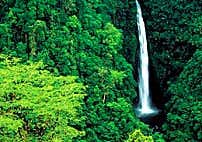 Galactic hitchhikers