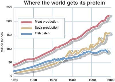 Where the world gets its protein