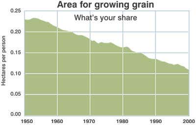 Area for growing grain