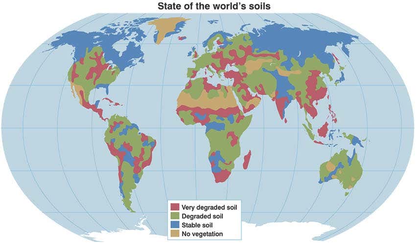 State of the world's soils