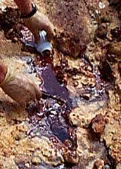 Photo&colon; Lois Ongley