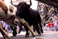 New Scientist. Science news and long reads from expert journalists, covering developments in science, technology, health and the environment on the website and the magazine.