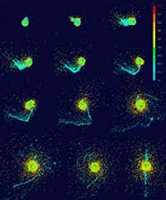 New Scientist. Science news and long reads from expert journalists, covering developments in science, technology, health and the environment on the website and the magazine.