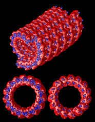 New algorithms speed molecular simulations
