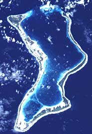 Coral reef abundance greatly overestimated