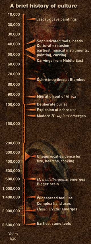 A brief history of culture