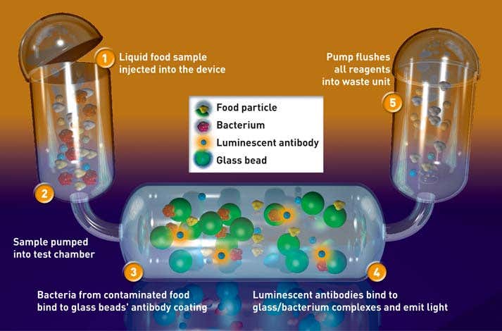 Food poisoning monitor gives almost instant results