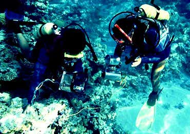 New Scientist. Science news and long reads from expert journalists, covering developments in science, technology, health and the environment on the website and the magazine.