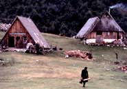 New Scientist. Science news and long reads from expert journalists, covering developments in science, technology, health and the environment on the website and the magazine.