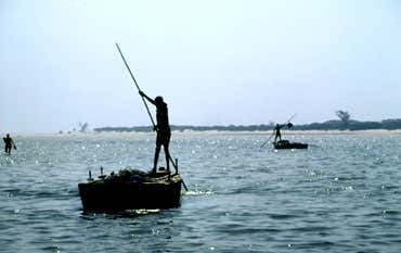 Marine reserve will shelter endangered dugongs