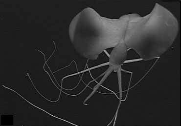 New Scientist. Science news and long reads from expert journalists, covering developments in science, technology, health and the environment on the website and the magazine.