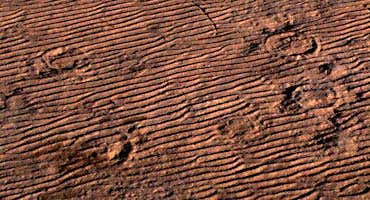 New Scientist. Science news and long reads from expert journalists, covering developments in science, technology, health and the environment on the website and the magazine.