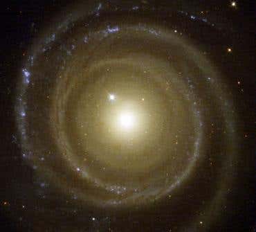 New Scientist. Science news and long reads from expert journalists, covering developments in science, technology, health and the environment on the website and the magazine.