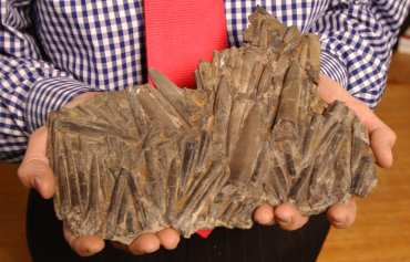 Oldest fossilised vomit pile uncovered