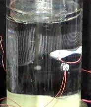 Desk-top fusion claim provokes controversy