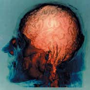 Neural network 'in-jokes' could pass secrets