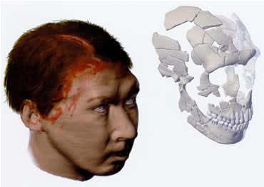 Neanderthal man was 
