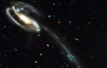 New Scientist. Science news and long reads from expert journalists, covering developments in science, technology, health and the environment on the website and the magazine.