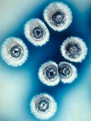 New Scientist. Science news and long reads from expert journalists, covering developments in science, technology, health and the environment on the website and the magazine.