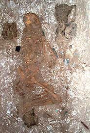 New Scientist. Science news and long reads from expert journalists, covering developments in science, technology, health and the environment on the website and the magazine.