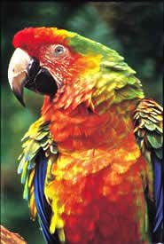 New Scientist. Science news and long reads from expert journalists, covering developments in science, technology, health and the environment on the website and the magazine.