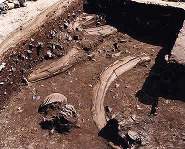 New Scientist. Science news and long reads from expert journalists, covering developments in science, technology, health and the environment on the website and the magazine.