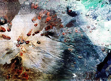 New Scientist. Science news and long reads from expert journalists, covering developments in science, technology, health and the environment on the website and the magazine.