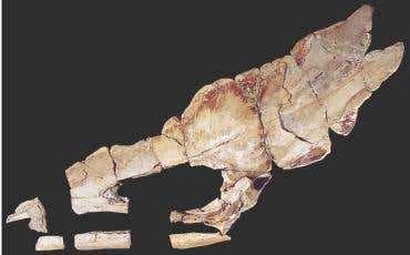 New Scientist. Science news and long reads from expert journalists, covering developments in science, technology, health and the environment on the website and the magazine.