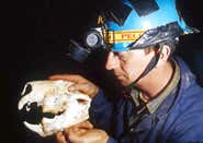 New Scientist. Science news and long reads from expert journalists, covering developments in science, technology, health and the environment on the website and the magazine.