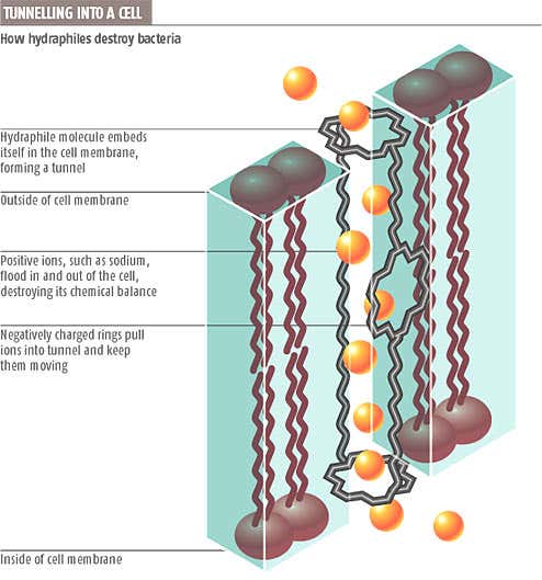 New Scientist. Science news and long reads from expert journalists, covering developments in science, technology, health and the environment on the website and the magazine.