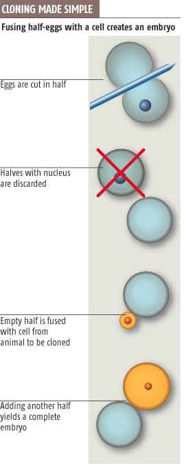 New Scientist. Science news and long reads from expert journalists, covering developments in science, technology, health and the environment on the website and the magazine.