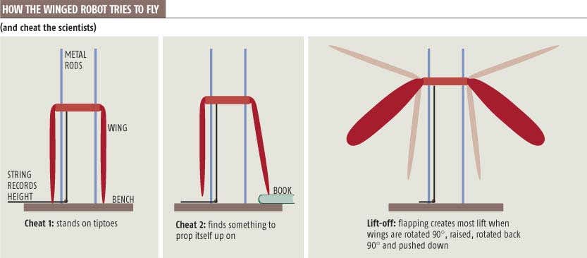 Winged robot learns to fly