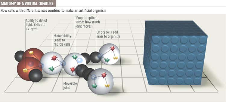 'Animals' grown from an artificial embryo