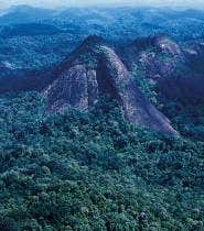 Aerial view of Tumucumaque mountains(Photo: Kitt Nascimento/WWF-Brazil)