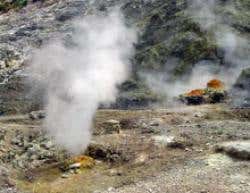 New Scientist. Science news and long reads from expert journalists, covering developments in science, technology, health and the environment on the website and the magazine.