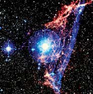 New Scientist. Science news and long reads from expert journalists, covering developments in science, technology, health and the environment on the website and the magazine.