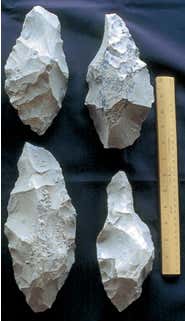 Limestone tools were used for butchering and cutting wood