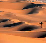 Africa's deserts are in 